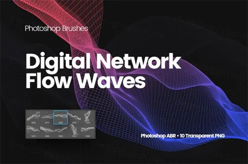 10+高分辨率不规则抽象PS笔刷素材 Digital Network