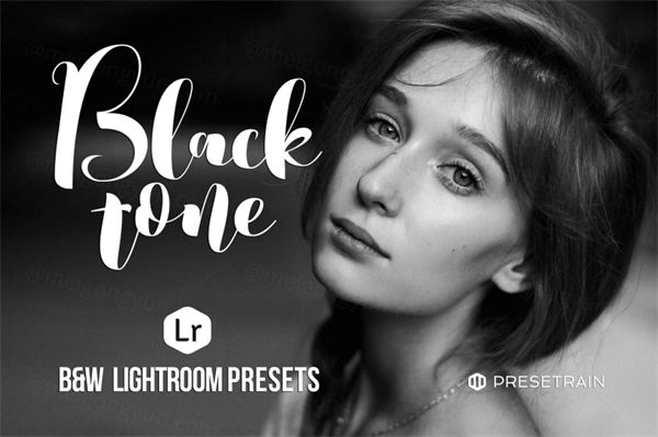 10种高端高级黑板Lightroom预设套装下载blacktone-b