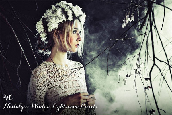 冬季水墨效果的照片LR预设文件Lightroom Presets