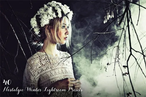 冬季水墨效果的照片LR预设文件Lightroom Presets