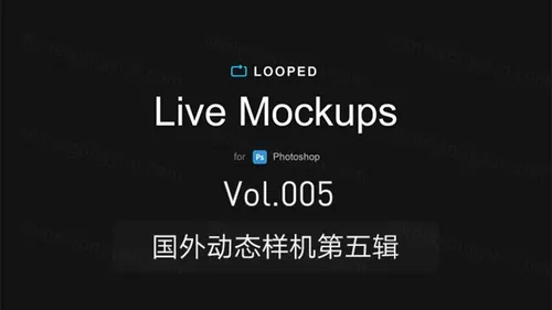 Looped Live Mockups动态图提案模板