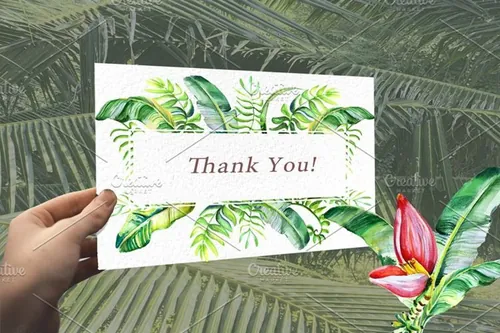 热带花卉绿色植物水彩插画合集