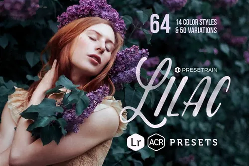 淡紫色Lightroom预设 Lilac Presets for Li