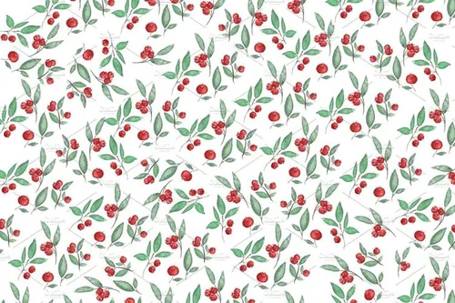 水彩浆果花卉插画 Watercolor berries and branches