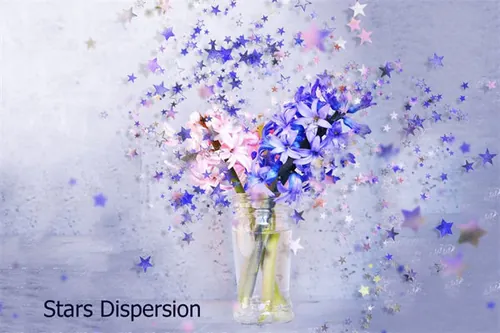 星星花卉特效 Stars Dispersion