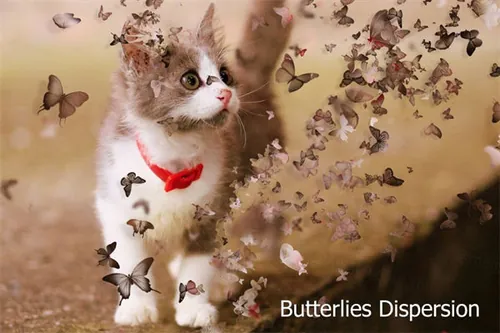 蝴蝶色散Ps动作 Butterflies Dispersion Ps