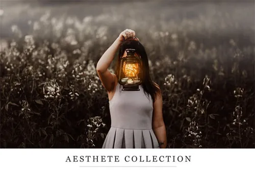 照片艺术动作 Aesthete Ps Collection