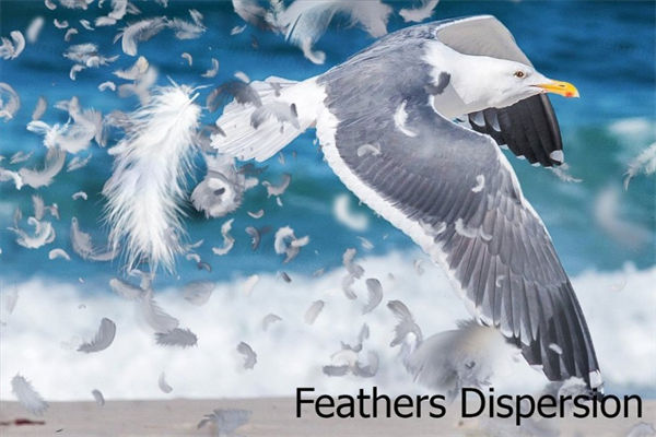 羽毛ps动作特效 Feathers Dispersion Action