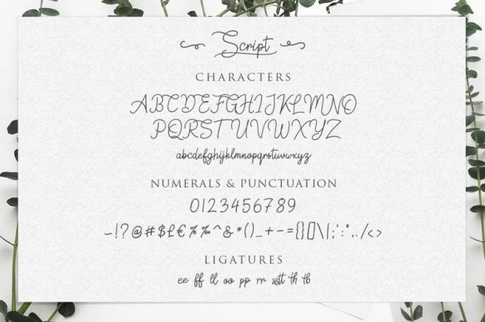 优雅的手写英文字体 Springfield | Fontduo+Extras