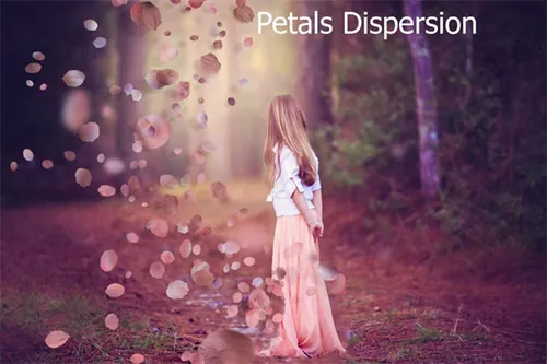 PS花瓣分散动作 Petals Dispersion Ps Actio
