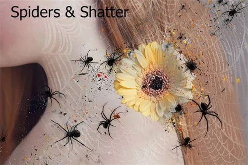 万圣节元素PS动作特效 Spiders amp;amp; Shatte
