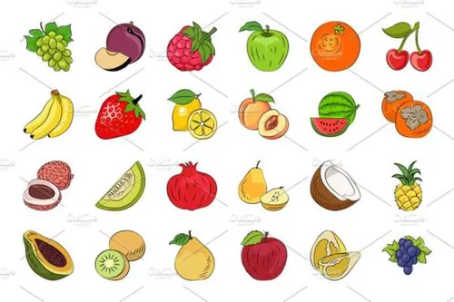 水果素菜矢量图标素材 Fruits and Vegetables Sketch