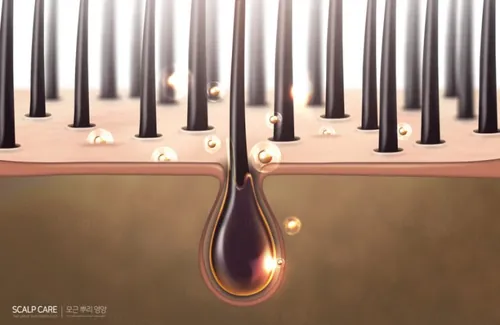 头发护理保养毛囊修复3D立体科学分层材质产品工艺分解三维结构图