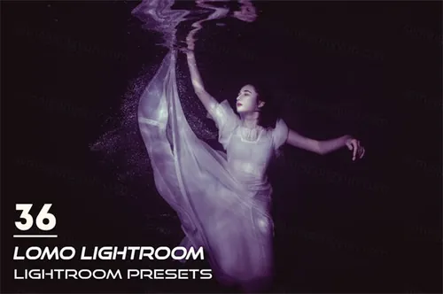 36个复古相机风格Lightroom预设套装Lomo Lightroo