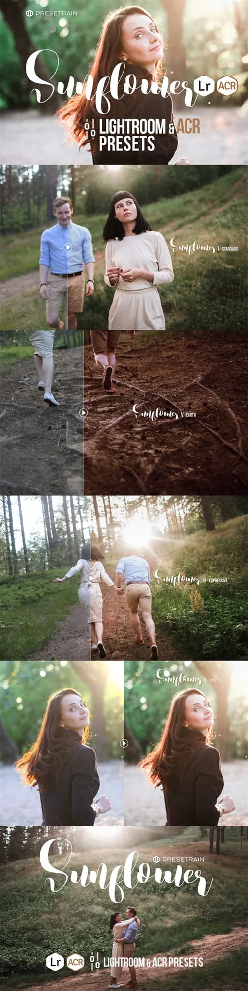 向日葵夏季预设LR和ACR Sunflower Summer Pres