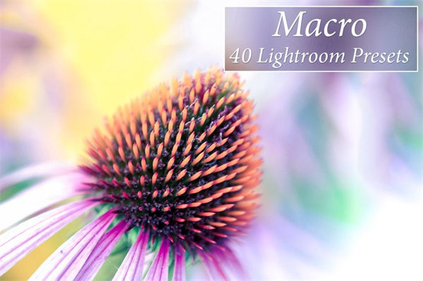 花卉LR预设 40 Macro Lr Presets