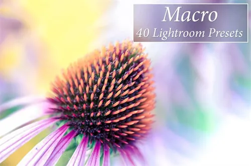 花卉LR预设 40 Macro Lr Presets