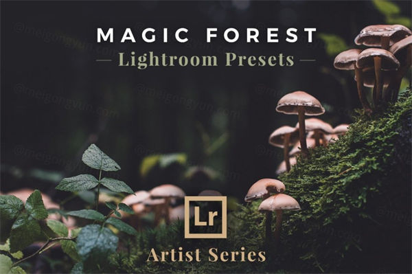 魔幻效果的LR预设文件 Magic Forest , Lightroo