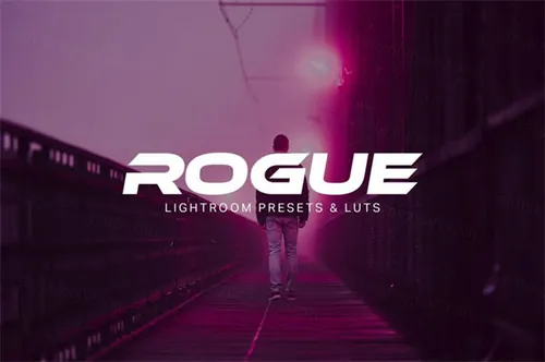 LR滤镜效果 Rogue  Lightroom Presets
