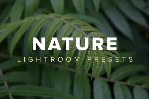 高品质的自然Lightroom预设nature lightroom