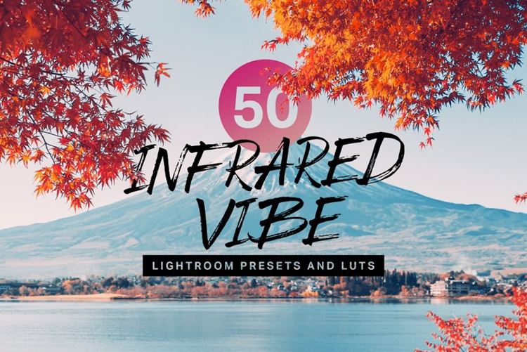 柯达红外胶片质感摄影图片时尚LR调色预设素材 50 Infr