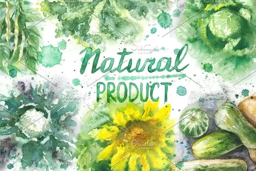 水彩手绘向日葵西兰花白菜等有机食品剪贴画素材 Natural