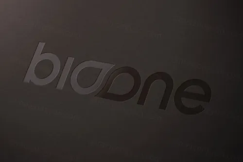 LOGO Mockup 压印压凹贴图高品质智能PSD样机效果图