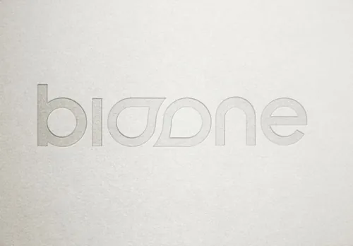 LOGO Mockup 压印压凹贴图高品质智能PSD样机效果图