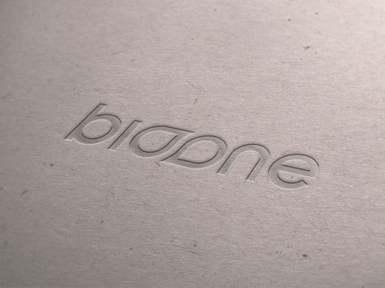 LOGO Mockup 贴图高品质智能PSD样机效果图