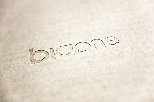 LOGO Mockup 压凹贴图高品质智能PSD样机效果图