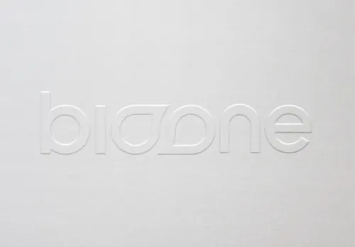 LOGO Mockup 起凸贴图高品质智能PSD样机效果图