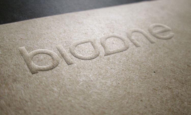 LOGO Mockup 贴图高品质智能PSD样机效果图