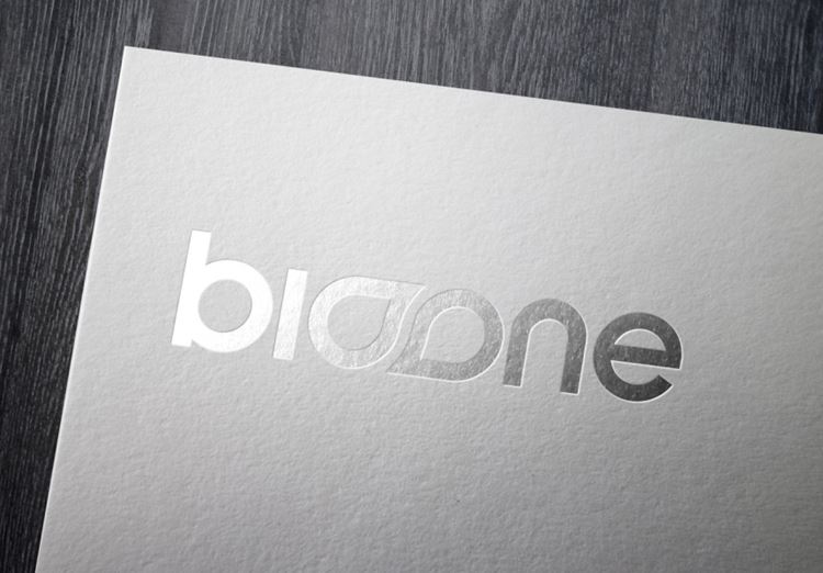 LOGO Mockup 烫银工艺贴图高品质智能PSD样机效果图