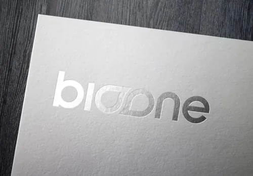 LOGO Mockup 烫银工艺贴图高品质智能PSD样机效果图