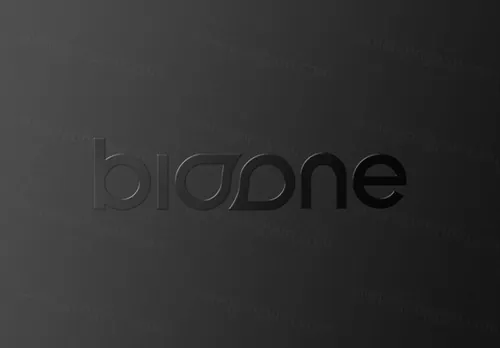 LOGO Mockup 压印起凸工艺贴图高品质智能PSD样机效果图