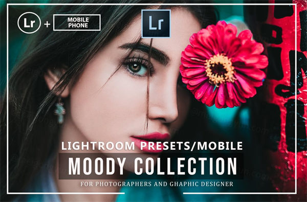 时尚高冷的lightroom人像预设Presets And Mobil