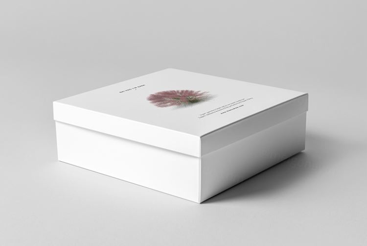 方形天地盖纸盒礼品盒智能样机贴图模板2