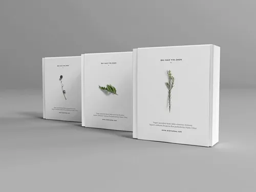 一款高档的带腰封化妆品包装盒贴图样机