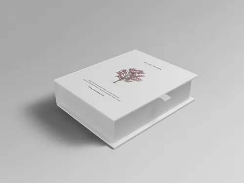 上翻盖裱糊盒礼品盒智能贴图样机3