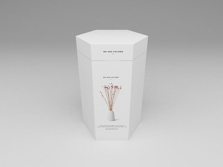 六边形柱体礼品盒智能贴图样机