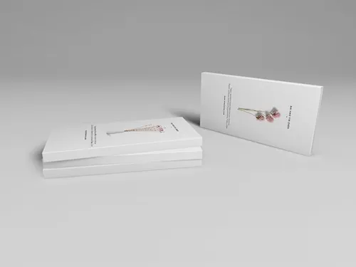 一款扁长方形纸盒包装智能贴图样机