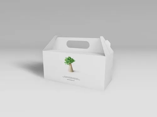 大款白卡牛皮纸水果/果汁包装礼盒包装箱智能贴图样机