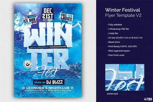 冬季节日传单海报PSD Winter Festival Flyer