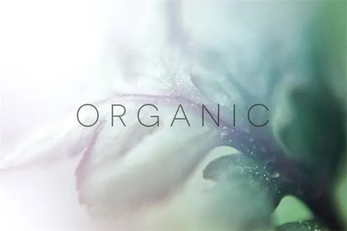 花卉植物图片素材 Organic