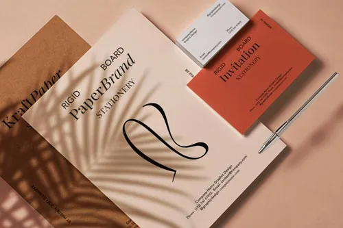 高端品牌VI设计贴图展示样机模板 Professional