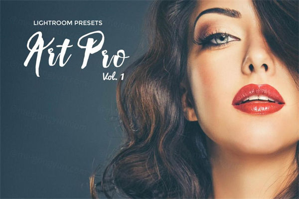 时尚高端杂志人像设计滤镜art pro lightroom