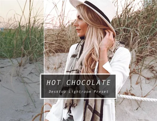 巧克力色旅行摄影人像预设Desktop Lightroom