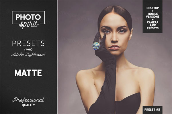 磨砂lightroom人像预设下载Mobile  Desktop