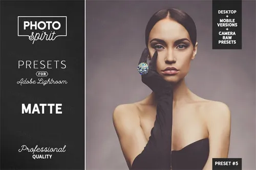 磨砂lightroom人像预设下载Mobile  Desktop