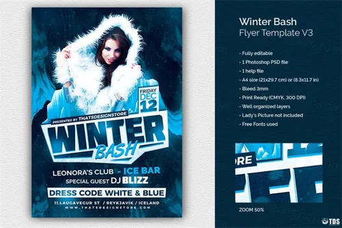 冬季海报模板3 Winter Bash Flyer